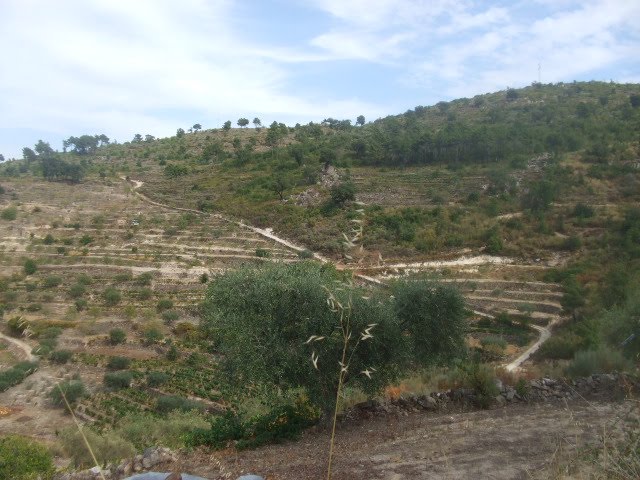 [passeios+049.JPG]