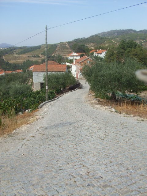 [passeios+043.JPG]