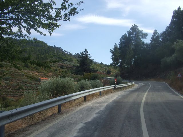 [passeios+030.JPG]