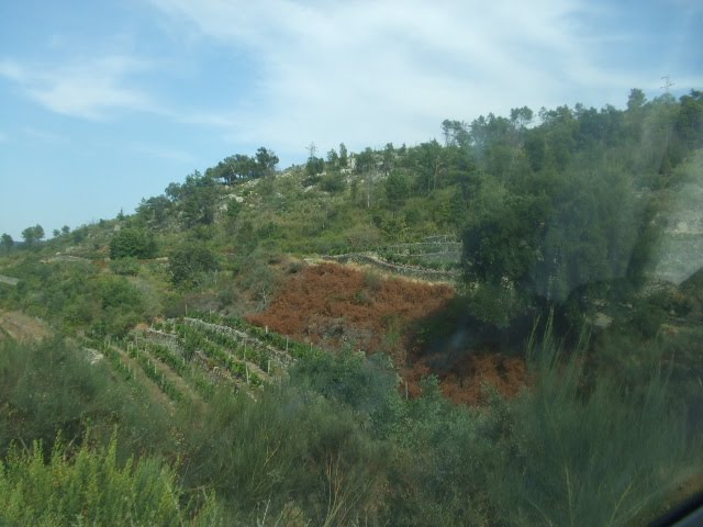[passeios+027.JPG]