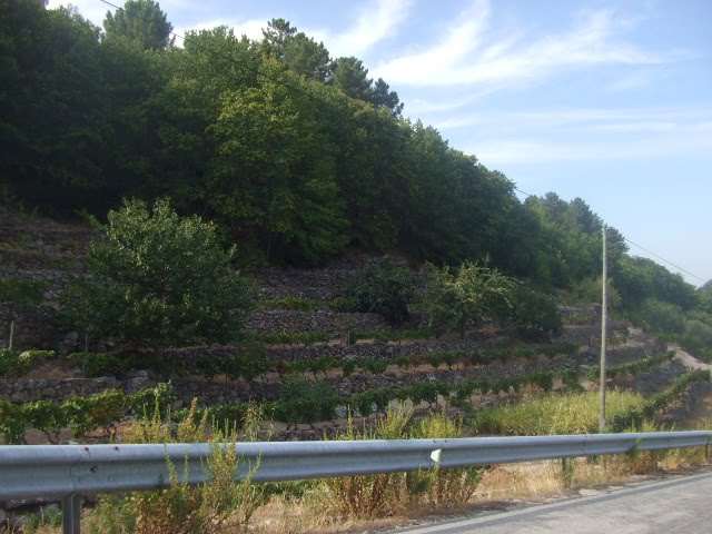 [passeios+025.JPG]