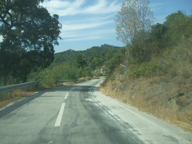 [passeios+016.JPG]