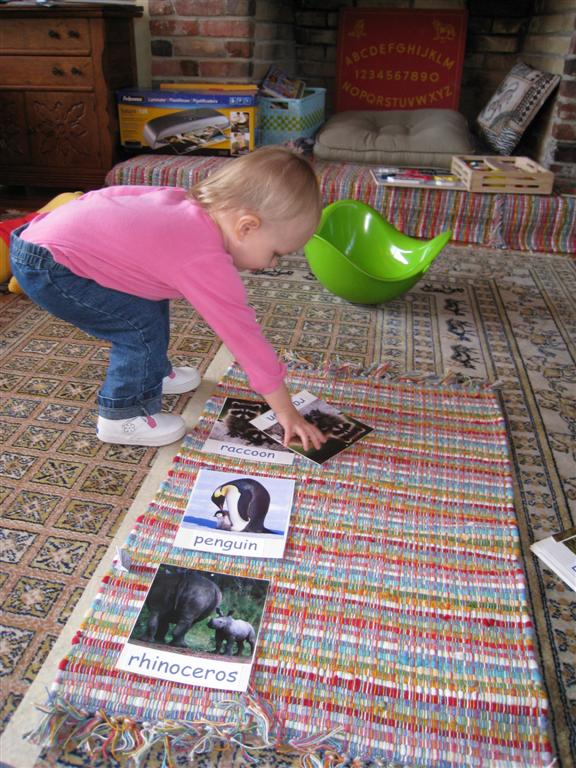 [IMG_2177+(Large).JPG]