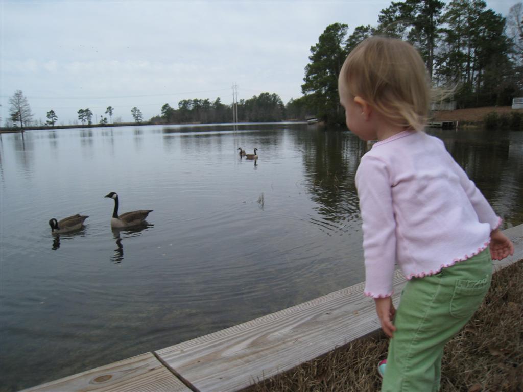 [IMG_2927+(Large).JPG]