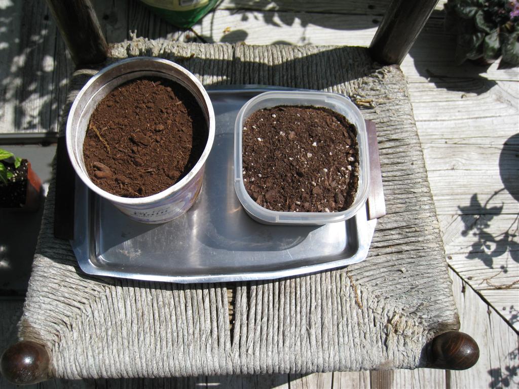 [IMG_5494+(Large).JPG]