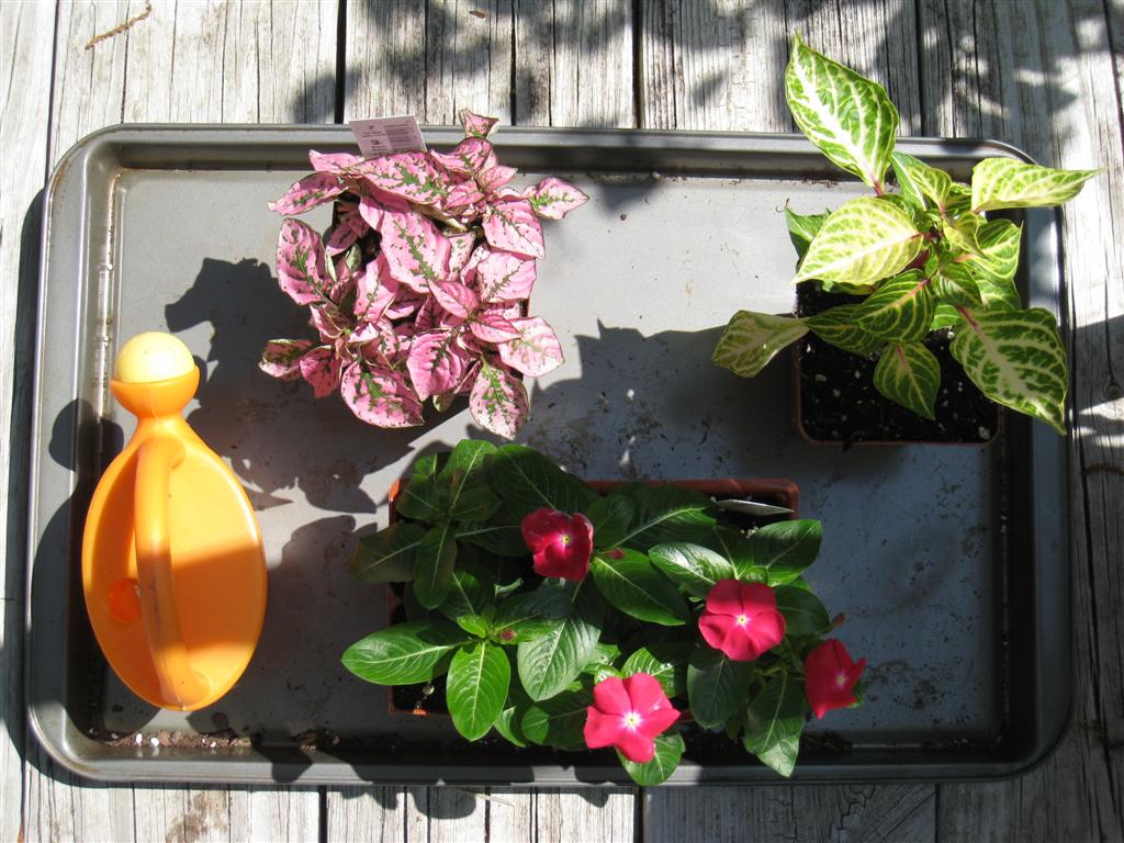 [IMG_5497+(Large).JPG]