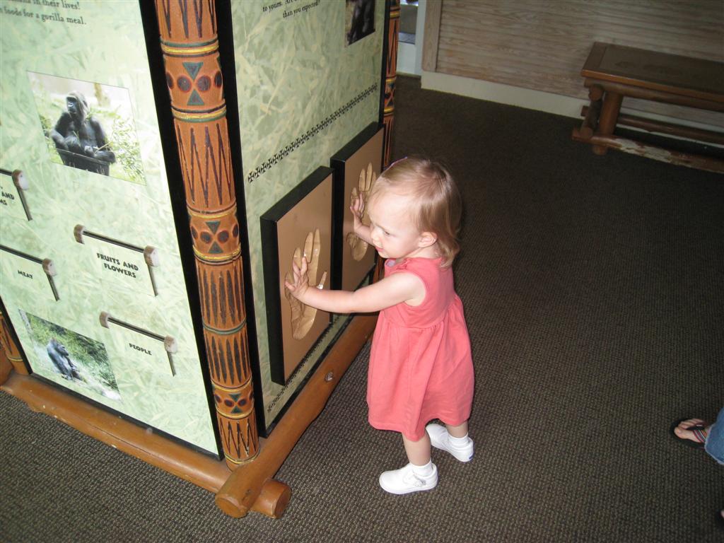 [IMG_5964+(Large).JPG]