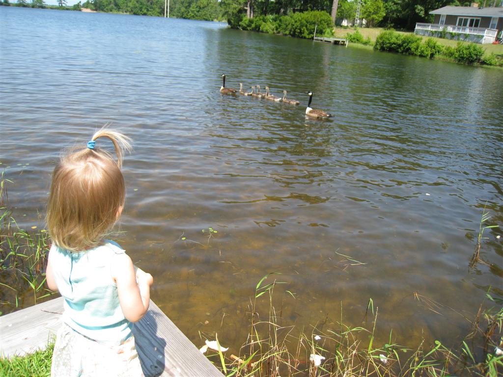 [IMG_7173+(Large).JPG]