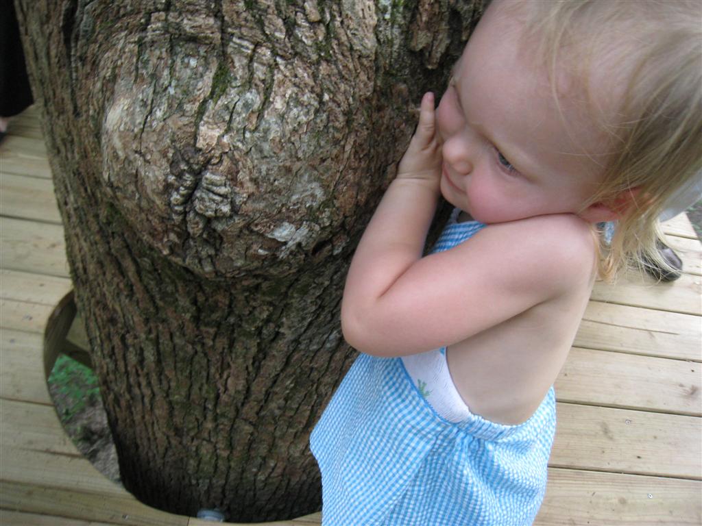 [IMG_7298+(Large).JPG]