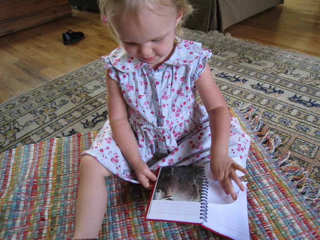 [IMG_7399+(Large).JPG]