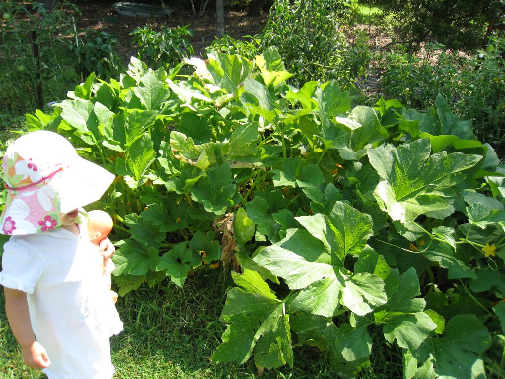 [IMG_8628+(Large).JPG]