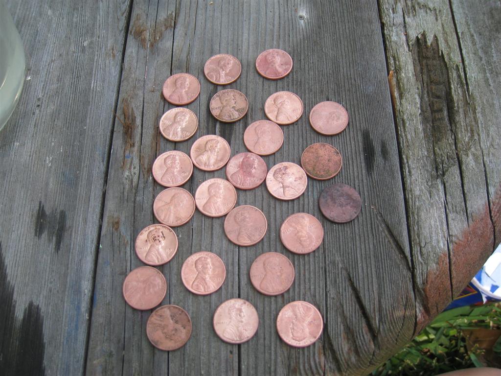 [IMG_9749+(Large).JPG]