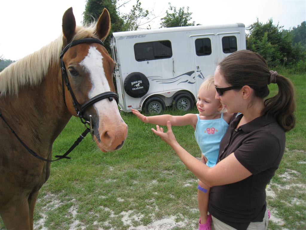 [IMG_9650+(Large).JPG]