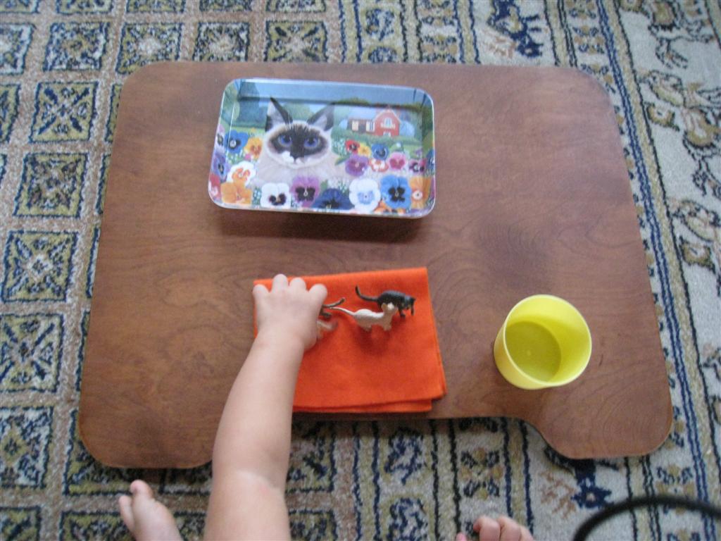 [IMG_9855+(Large).JPG]