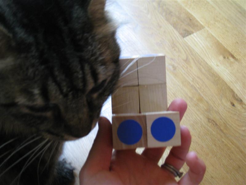 [IMG_0654+(Medium).JPG]