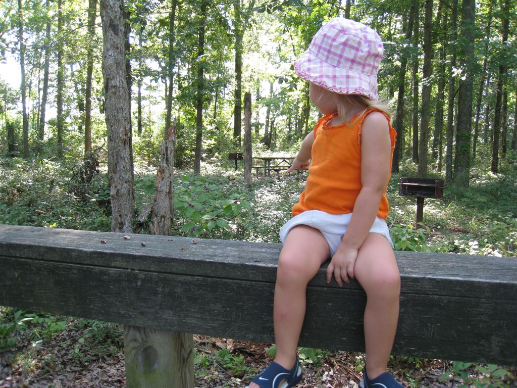 [IMG_0681+(Large).JPG]