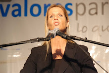 Cynthia Hotton, Diputada Nacional
