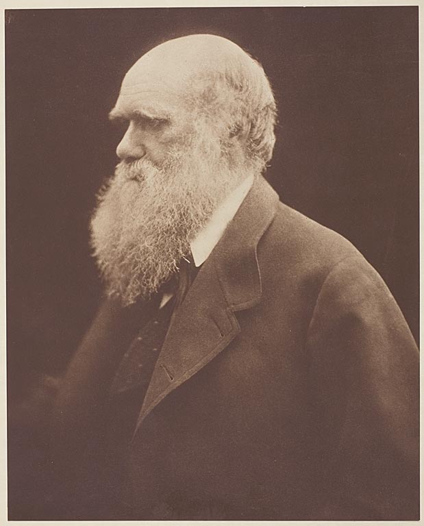 [Charles+Darwin.jpg]