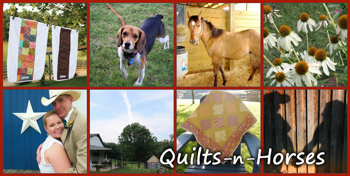 Quilts - n' - Horses