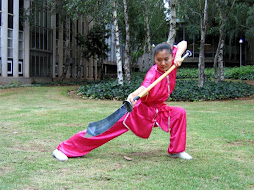 Gimnasio Artes Marciales en Azuqueca de Henares Infantil y Adultos, Clases de Kung Fu y Boxeo Chino