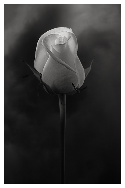 [Floriana+Barbu.jpg"><img]