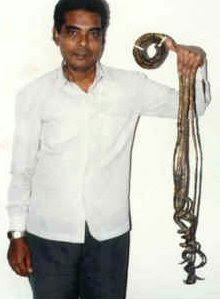 World Rising [ People + Creativity + Entertainment ]: Guinness World