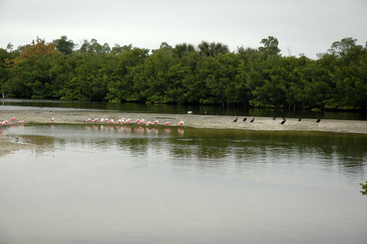 [003-DDWR-1-31-10-edt.jpg]