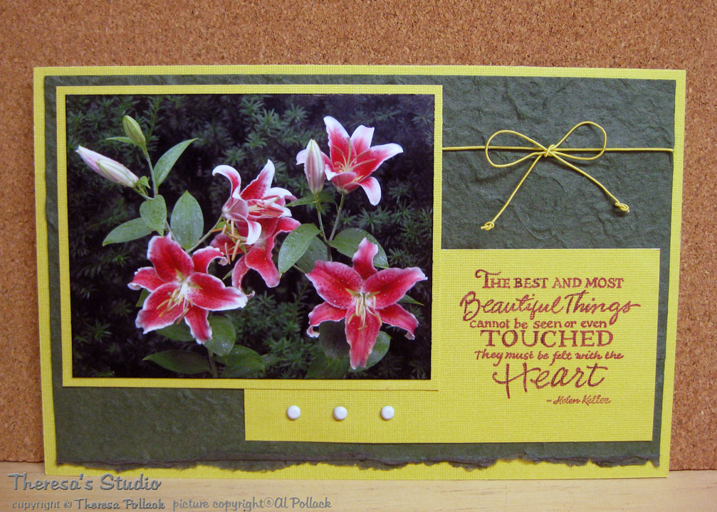 [Stargazer-STVPF25.jpg]