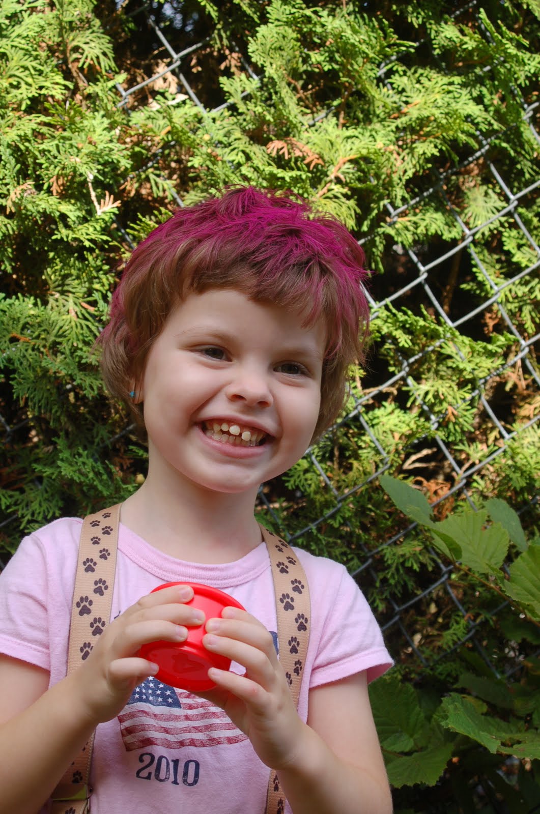 Llama Wanderings Millikins Purple 4 Year Old Hair