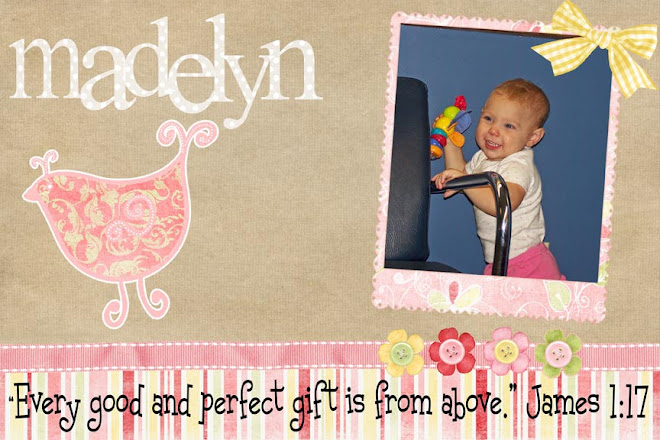 The Bird Family - Test Blog