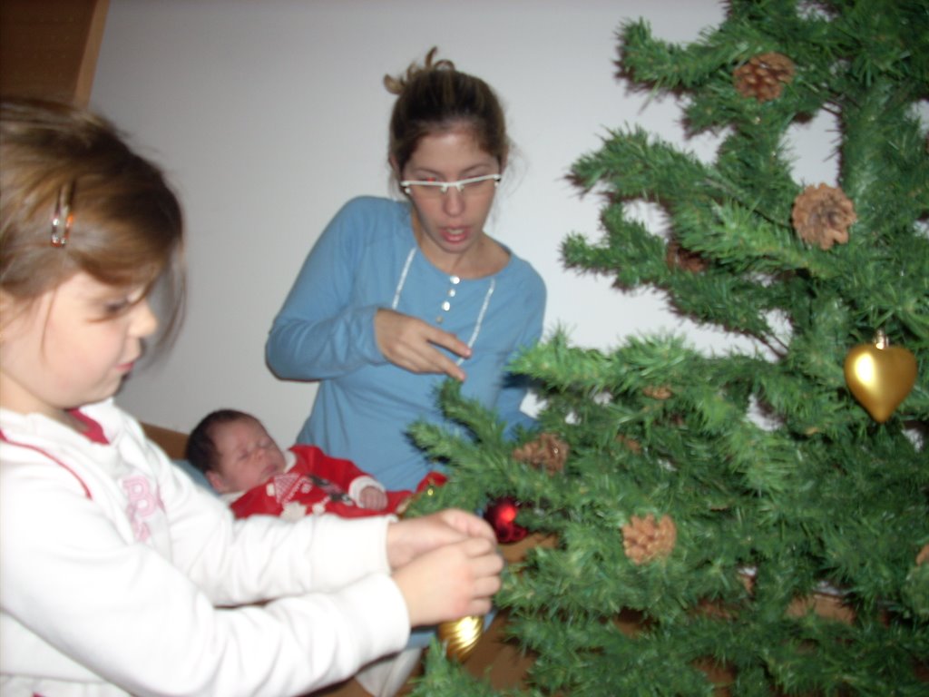 [DSCN0245.JPG]