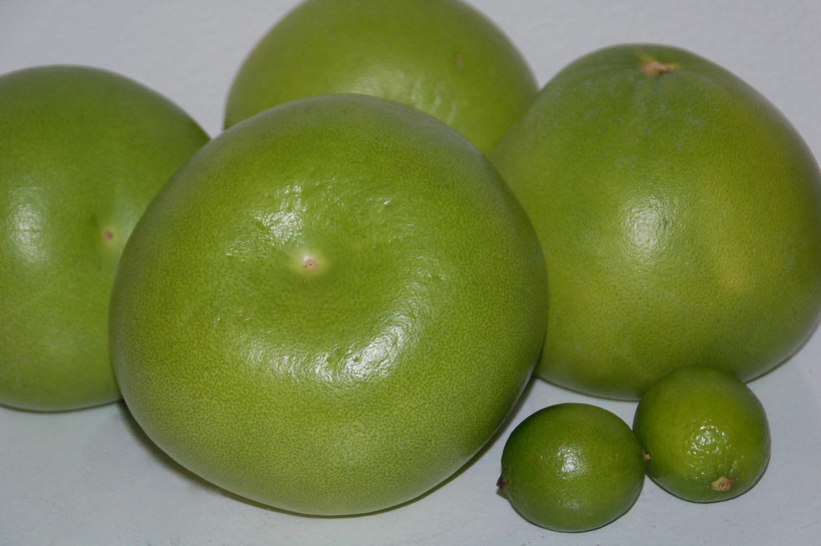 Art is in the kitchen Pomelo Salad