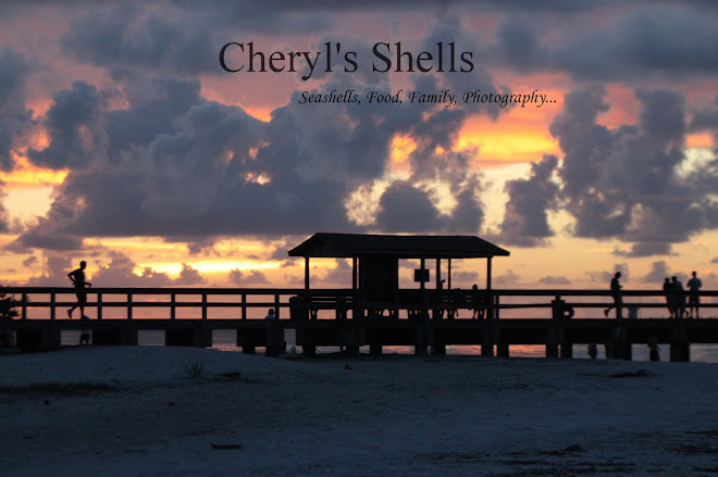 Cheryl's Shells