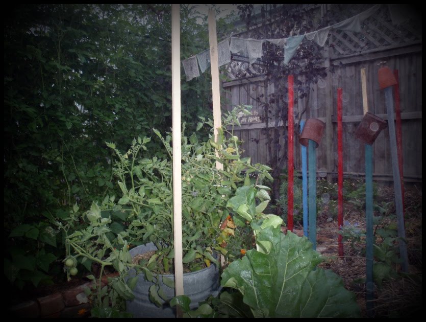 [vegie+garden+early+morning+misty+day+Jan+12.jpg]
