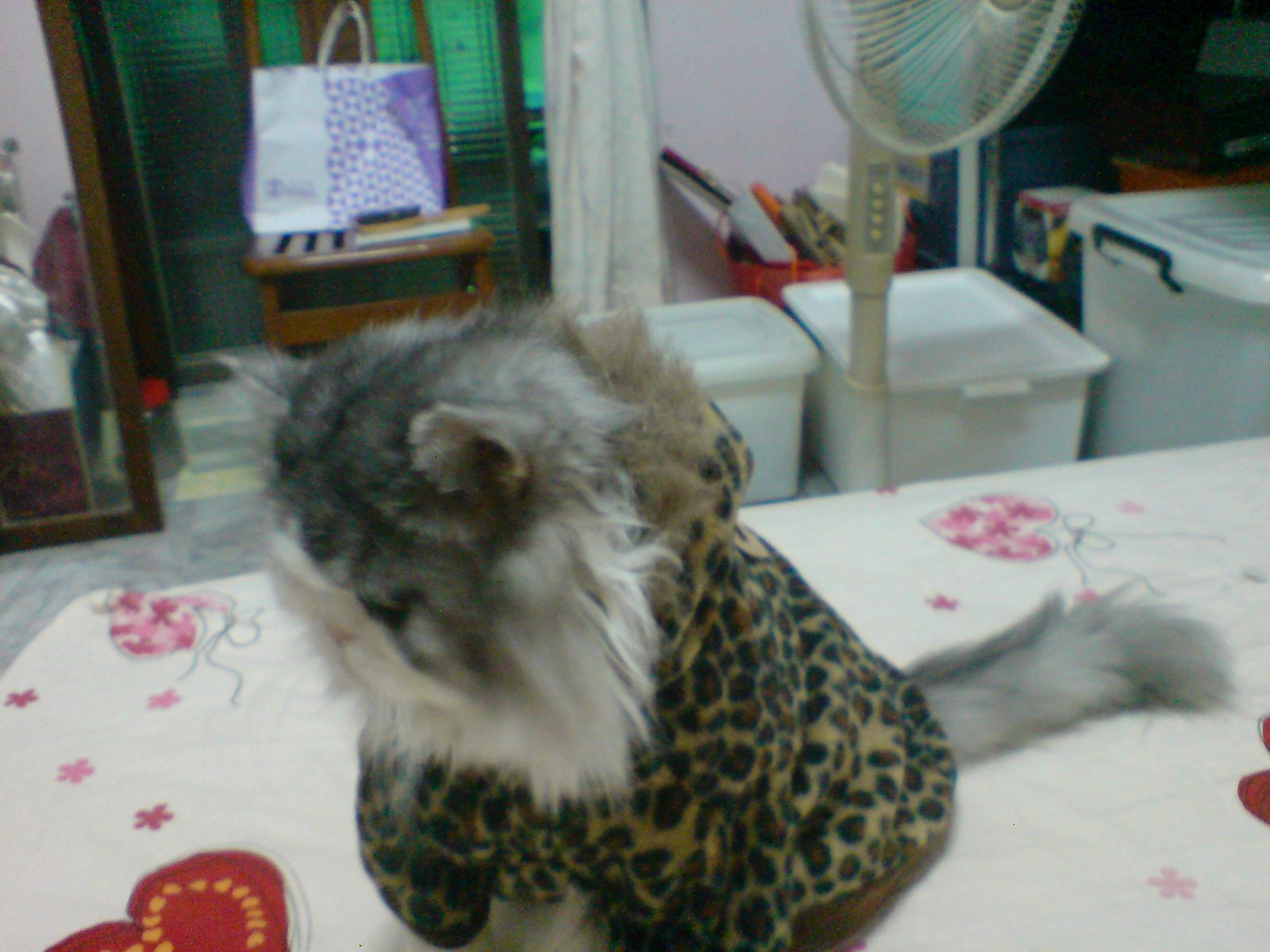 [DSC05989.JPG]