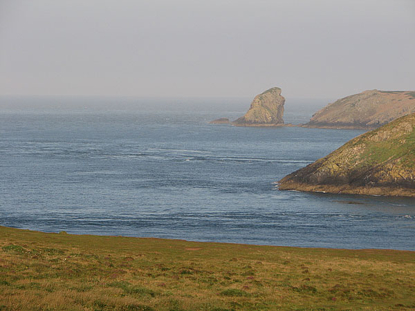 [mew-stone-skomer.jpg]