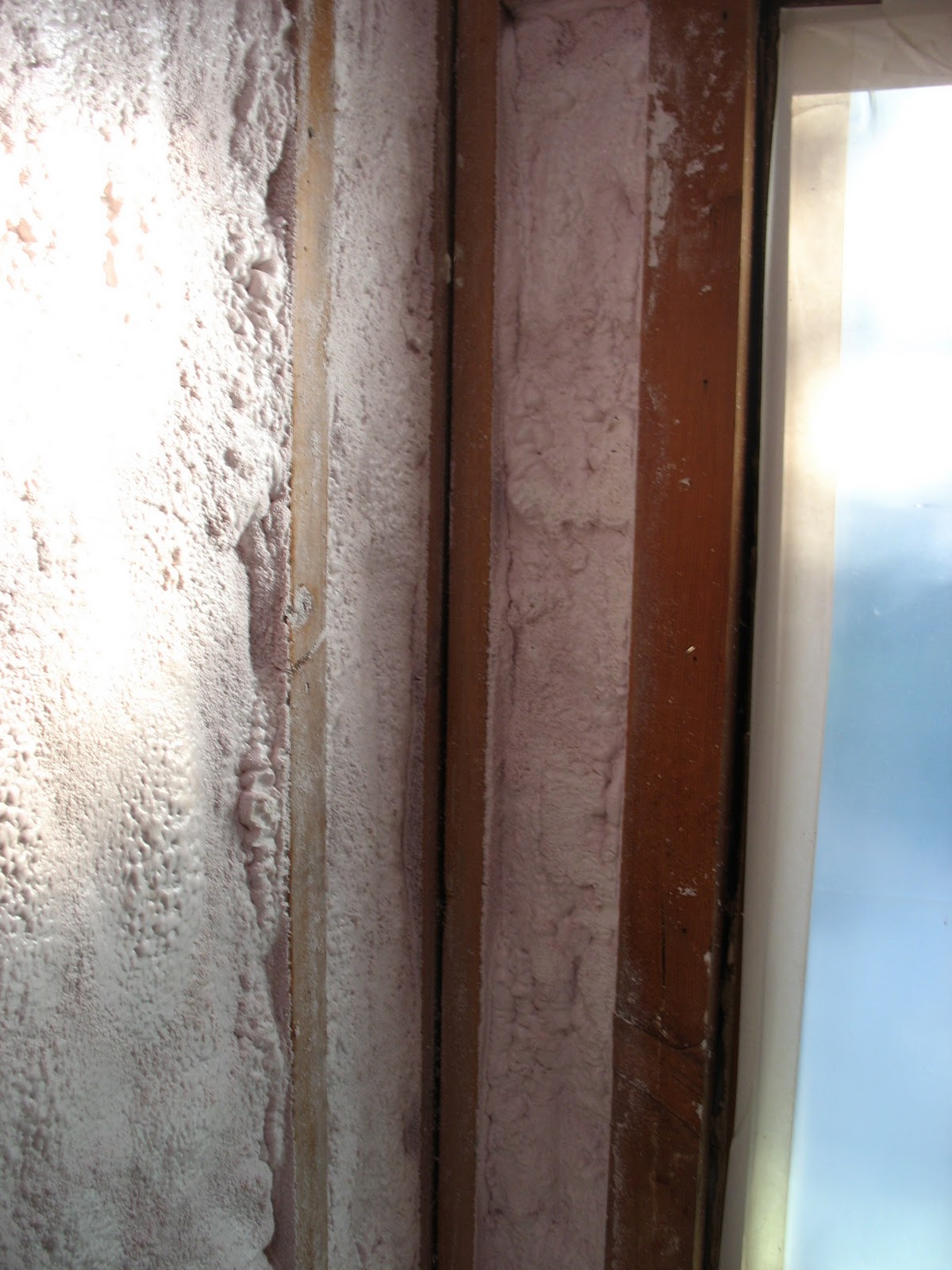 netzerolife Insulation Problems