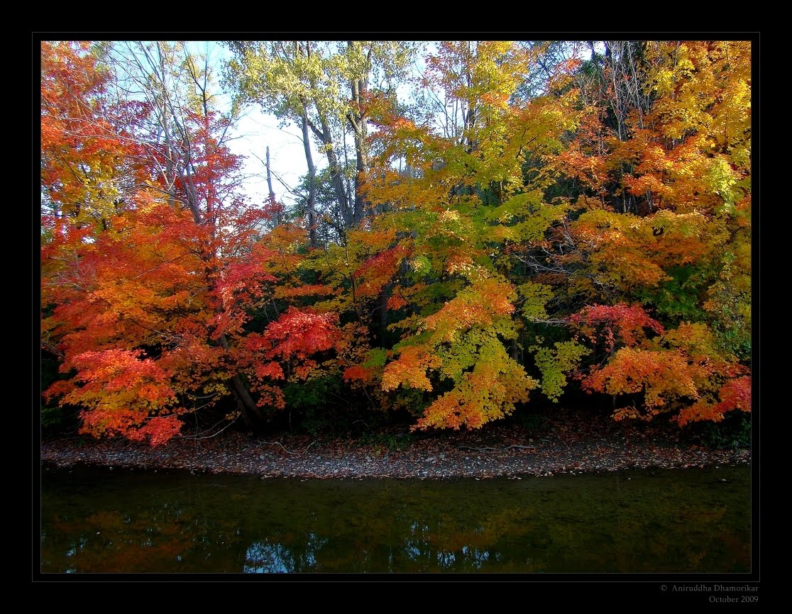 [autumn+colors.jpg]