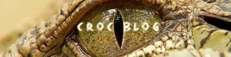 Croc Blog