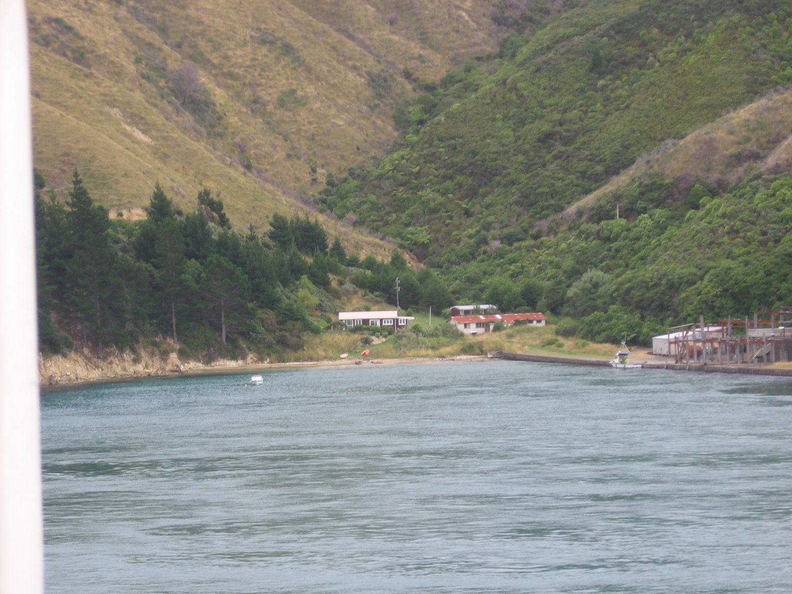 [Napier-Wellington-Nelson-Hotikika-FoxGlacier+044.jpg]