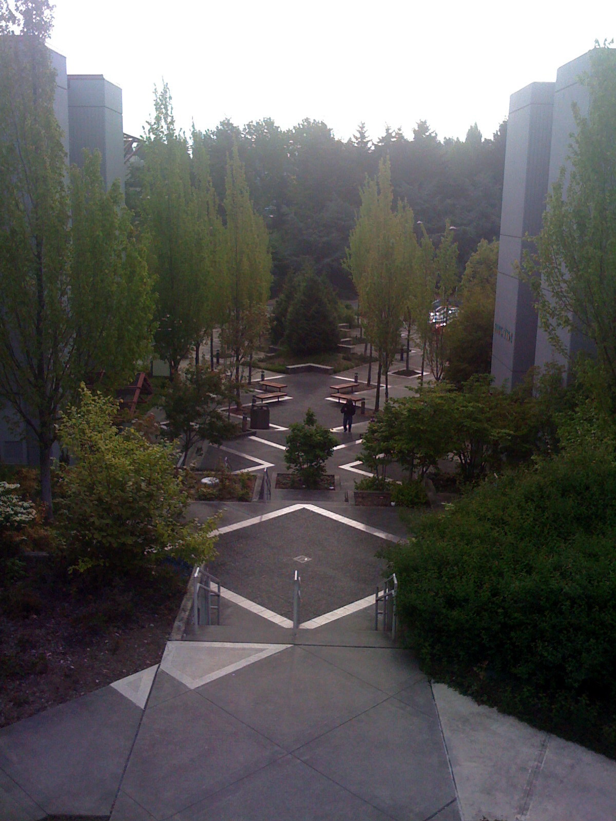 [IMG_0626-736172.JPG]