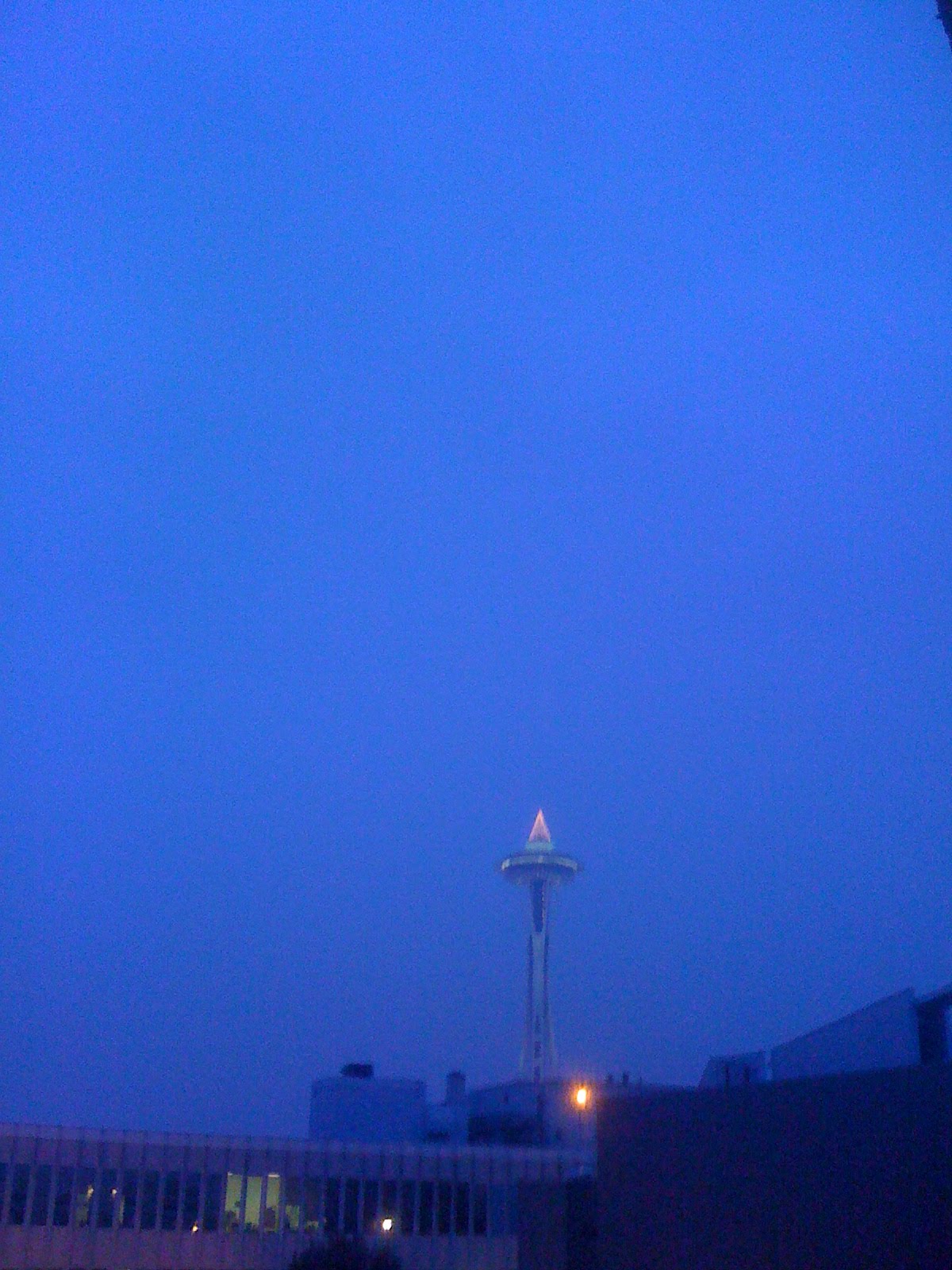 [IMG_2738-799870.JPG]