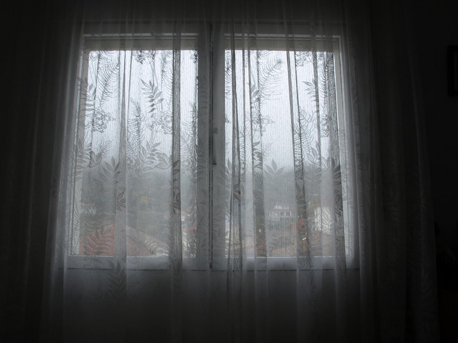 Viajando En Mi Nube Particular: El Otoño a través de mi Ventana (en El