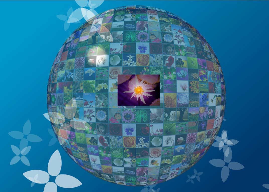 [2.results2-757985.jpg]