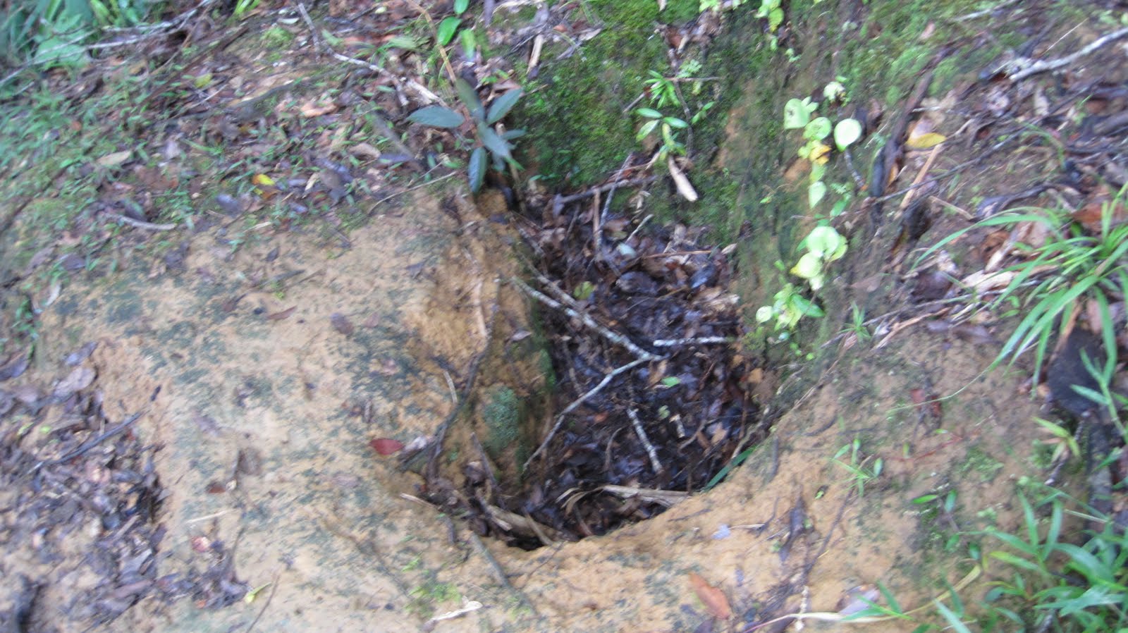 Kokoda Hike: Day 8 - New Nauro to Ioribaiwa village