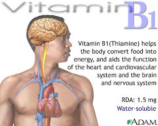 Benefits of Vitamin B1, Sources of Vitamin B1