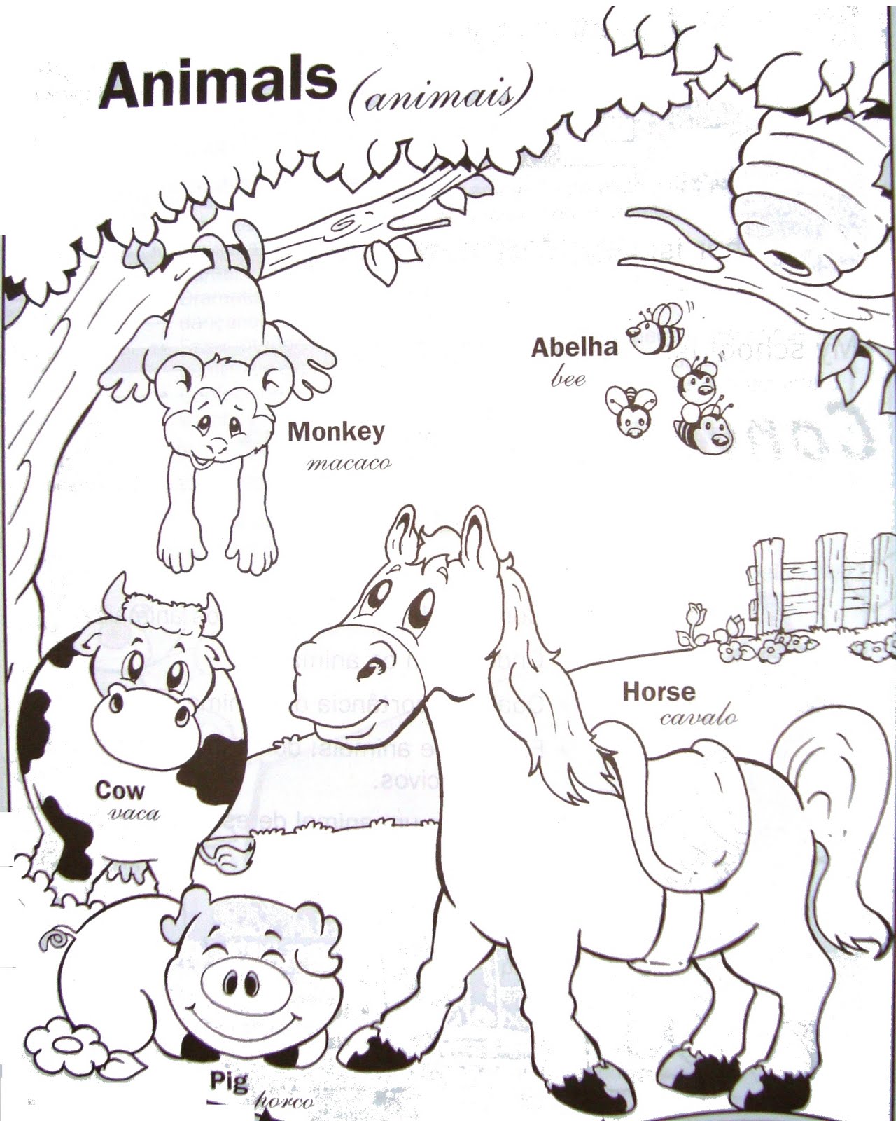Animais para colorir Desenhos Para Colorir