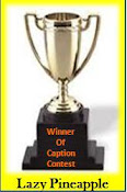 Caption Award