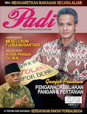 Majalah Padi Edisi 15 2008