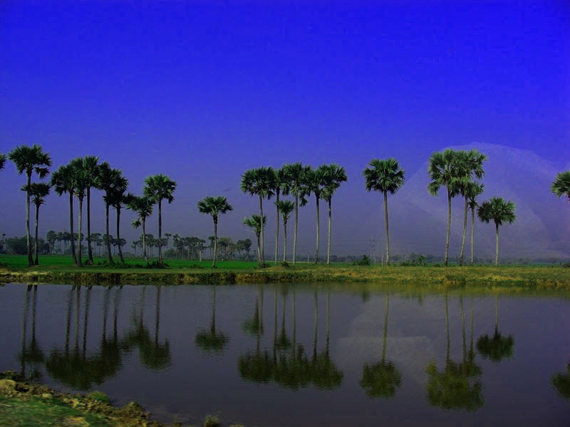 Jalpaiguri: Jalpaiguri The Cultural Town Of West Bengal